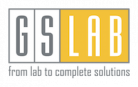 Great Software Laboratory (GS Lab)
